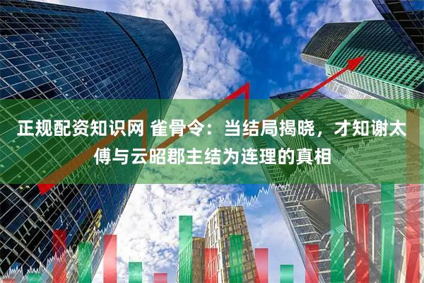 正规配资知识网 雀骨令：当结局揭晓，才知谢太傅与云昭郡主结为连理的真相